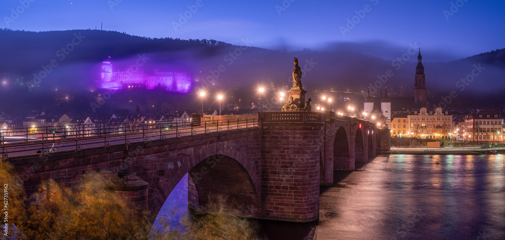 Heidelberg castle illumination on world prematurity day