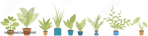 Home or office plant in pot. Vector illustration. Foliage plant in pot for interior. Home plant in flowerpot. Houseplants isolated on white. Trendy green home decor. Houseplant in ceramic container
