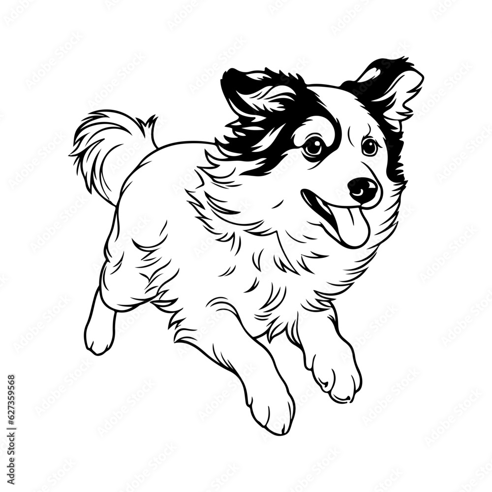 Australian Shepherd, hand drawn cartoon character, dog icon.