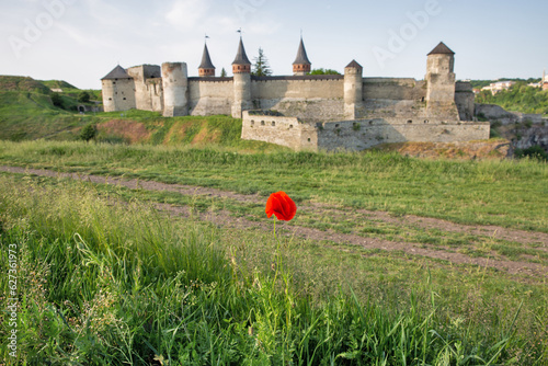 Blooming poppy in front of Castle in Kamianets-Podilskyi, Ukraine. photo