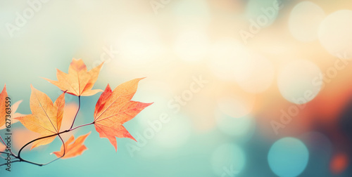 Abstract autumn nature background, with leaves on a branch, glowing sun and warm seasonal colors