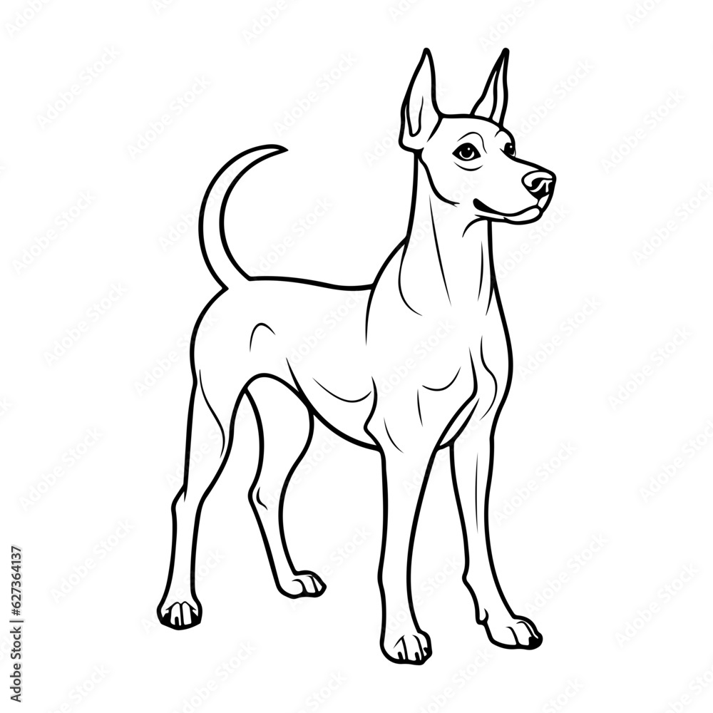 Doberman, hand drawn cartoon character, dog icon. Doberman, hand drawn cartoon character, dog icon.