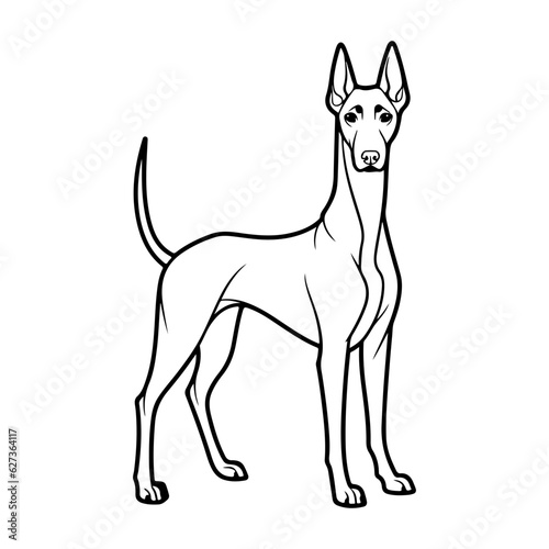 Doberman  hand drawn cartoon character  dog icon.