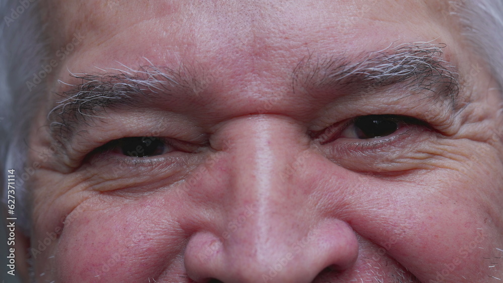 Macro tight close-up of senior mature man smiling. Happy elderly male person in 70s with wrinkles staring intensively at camera-SD 480p.movMacro tight close-up of senior mature man smiling. Macro tight close-up of senior mature man smiling. Happy elderly male person in 70s with wrinkles staring intensively at camera-SD 480p.movMacro tight close-up of senior mature man smiling.