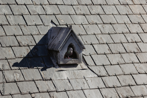 old house roof © Megane