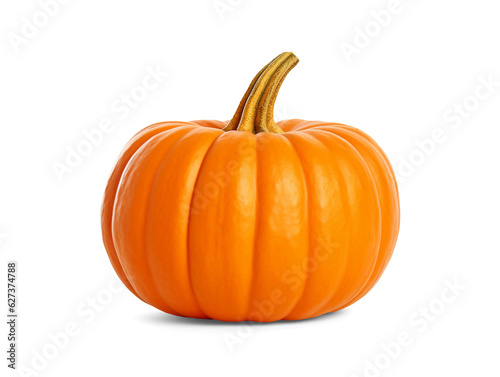 Canvastavla Pumpkin isolated on transparent or white background, png