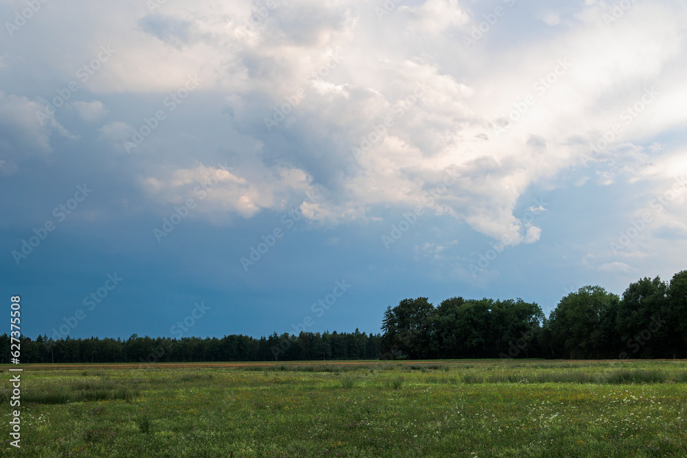 A meadow at the edge of the forest with dramatic cloudy sky in thunderstorm mood A meadow at the edge of the forest with dramatic cloudy sky in thunderstorm mood