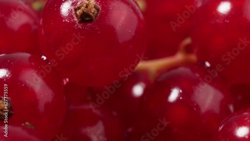 Ripe red currant on a light background. Red currant close up.