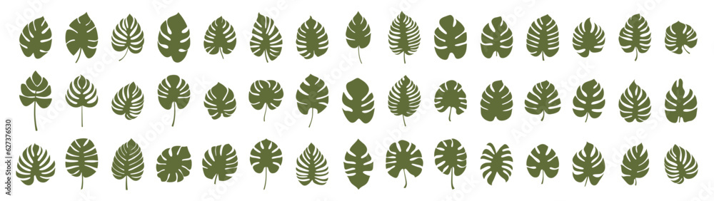 Set of leaf silhouette elements. Collection of monstera silhouettes on isolated background. Vector illustration Set of leaf silhouette elements. Collection of monstera silhouettes on isolated background. Vector illustration
