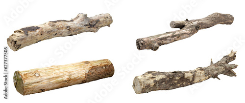 Log trees hardwood collections cutout  backgrounds 3d render png