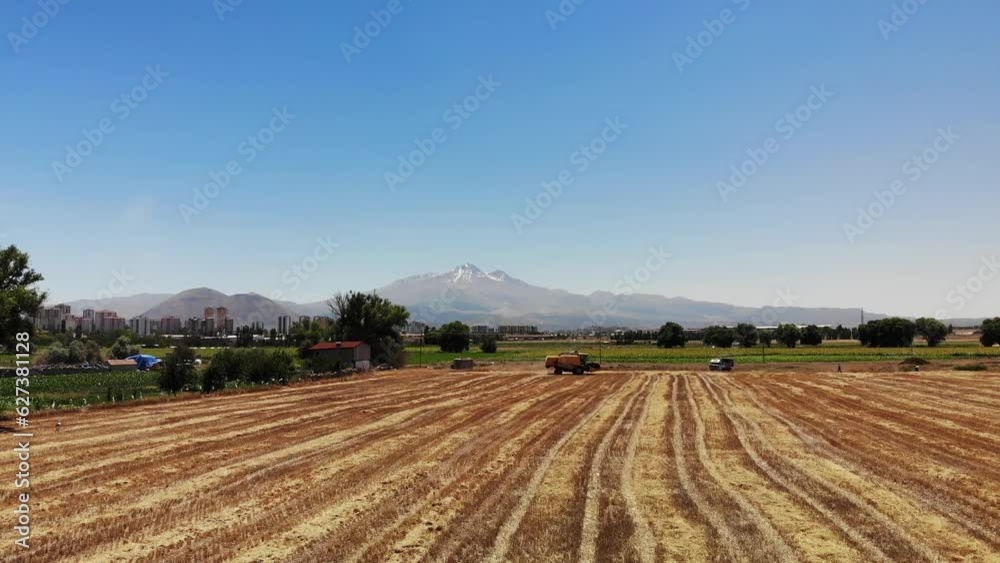 Combine Harvester Advancing In The Field In Summer Combine Harvester Advancing In The Field In Summer