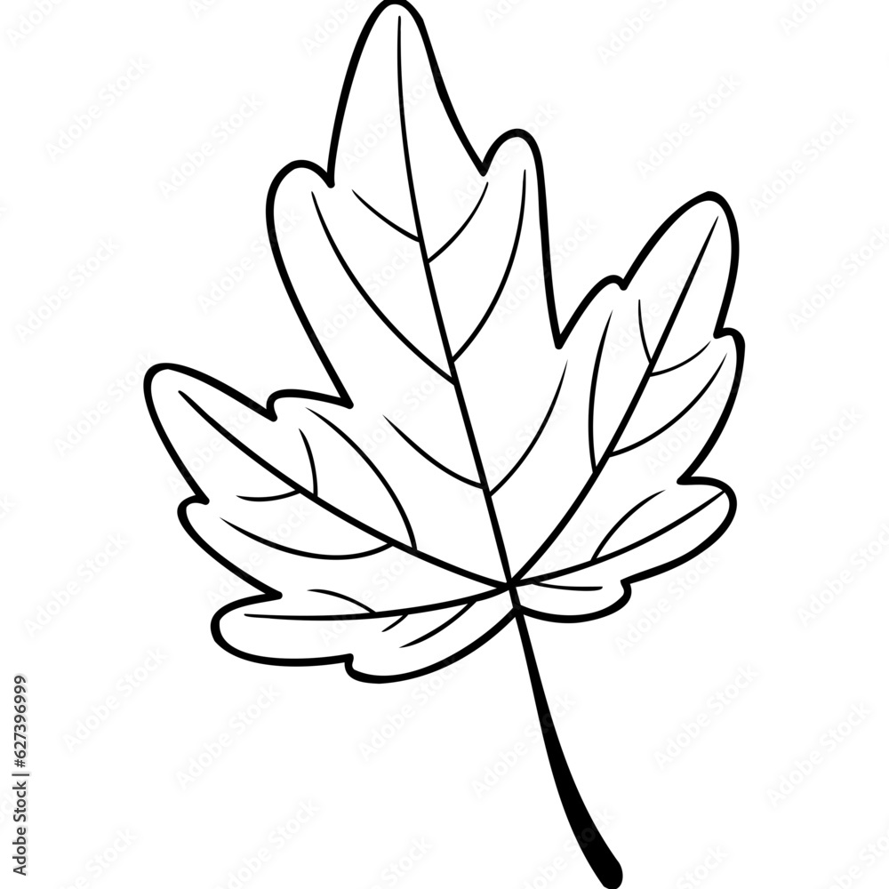 leaf maple leaf maple
