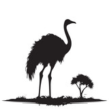 An Ostrich silhouette vector Illustration