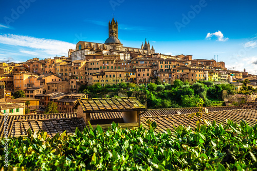 Siena town with view, Italy, Europe.  photo