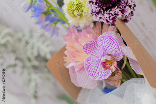 pink orchid flower