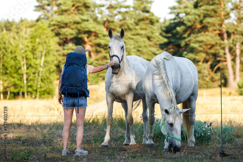 Woman playing with white horses on pasture during summer hiking in nature