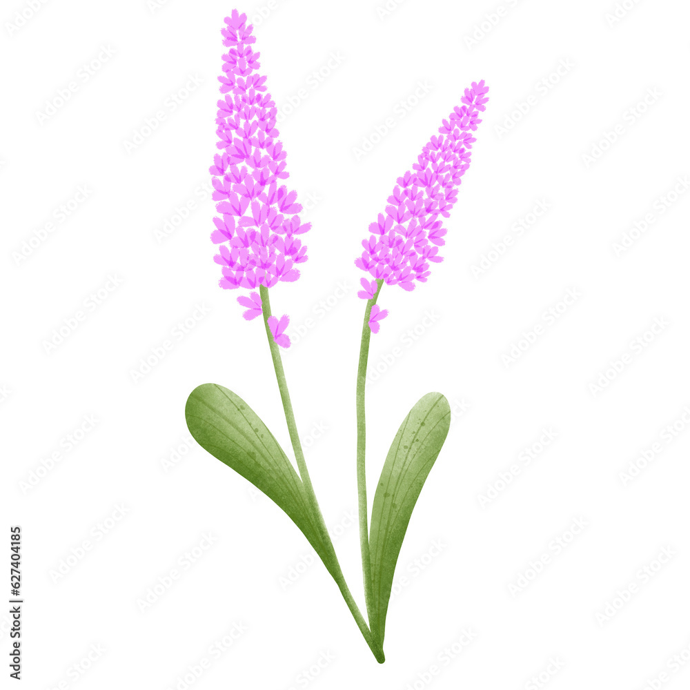 Obraz premium Flower 