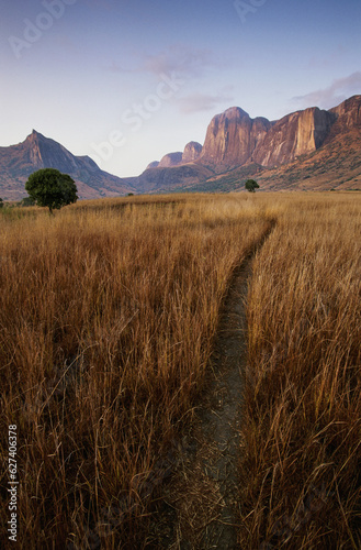 Path recedes in tall grasses towards limestone rock formations; Republic of Madagascar, Africa photo