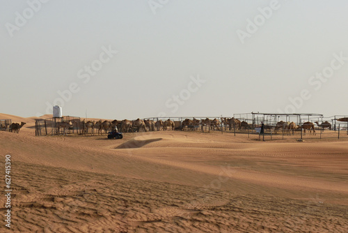 sand dunes and beach
