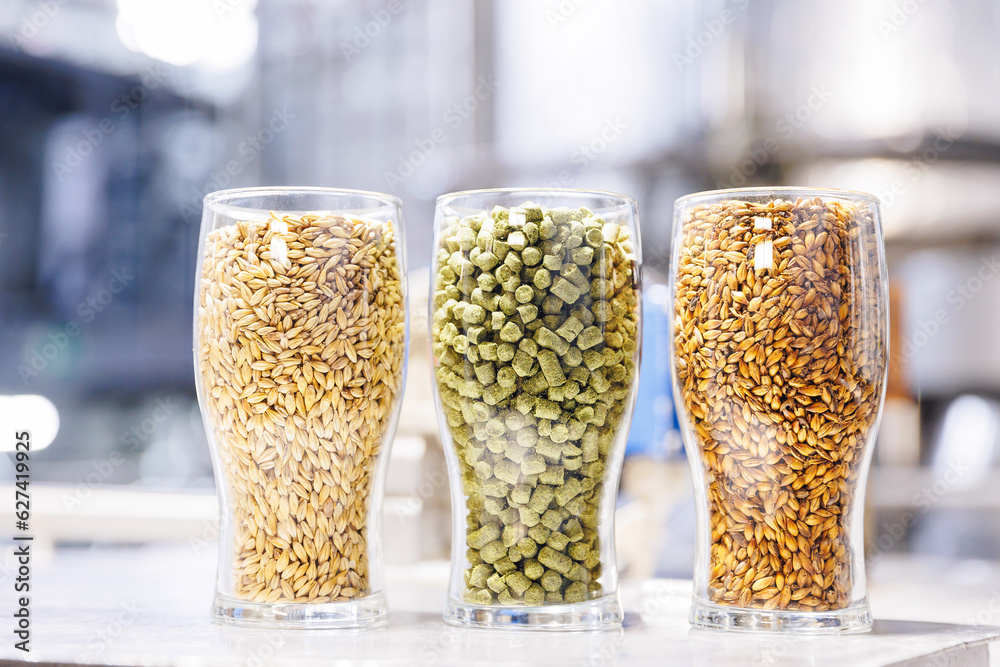Glasses with various malted grain, wheat. Craft beer brewing from grain barley malt. Ingredients for brewers factory Glasses with various malted grain, wheat. Craft beer brewing from grain barley malt. Ingredients for brewers factory