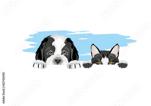 Peeping Saint Bernard puppy dog and cute cat
