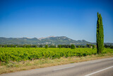  Vignoble en Provence