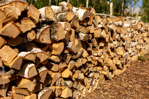 A woodpile with a billet and stacks of firewood from chopped wood for the furnace and heating of the house. Birch wood.