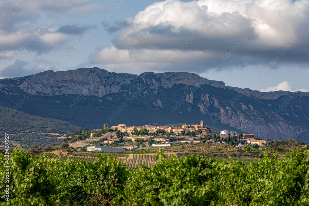 View of Laguardia between vineyards at sunset with Sierra Cantabria in the background.

