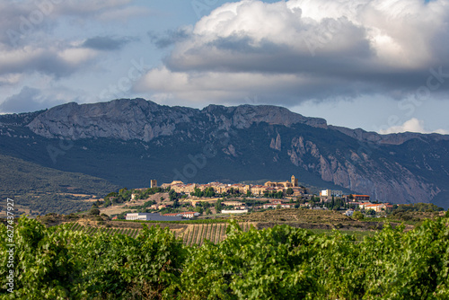 View of Laguardia between vineyards at sunset with Sierra Cantabria in the background.

