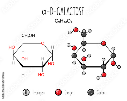 Alpha galactose skeletal and flat representation. Skeletal formula and 2d structure illustration. Web style illustration. Vector editable photo