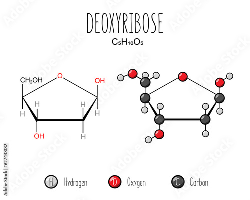 Deoxyribose skeletal and flat representation. Skeletal formula and 2d structure illustration. Web style illustration. Vector editable