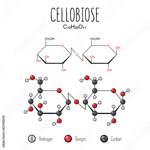 Obraz na plátně Cellobiose skeletal and flat representation