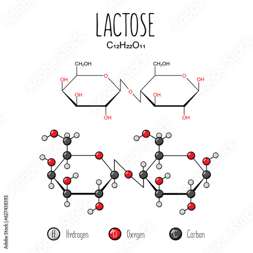 Lactose skeletal and flat representation. Skeletal formula and 2d structure illustration. Web style illustration. Vector editable