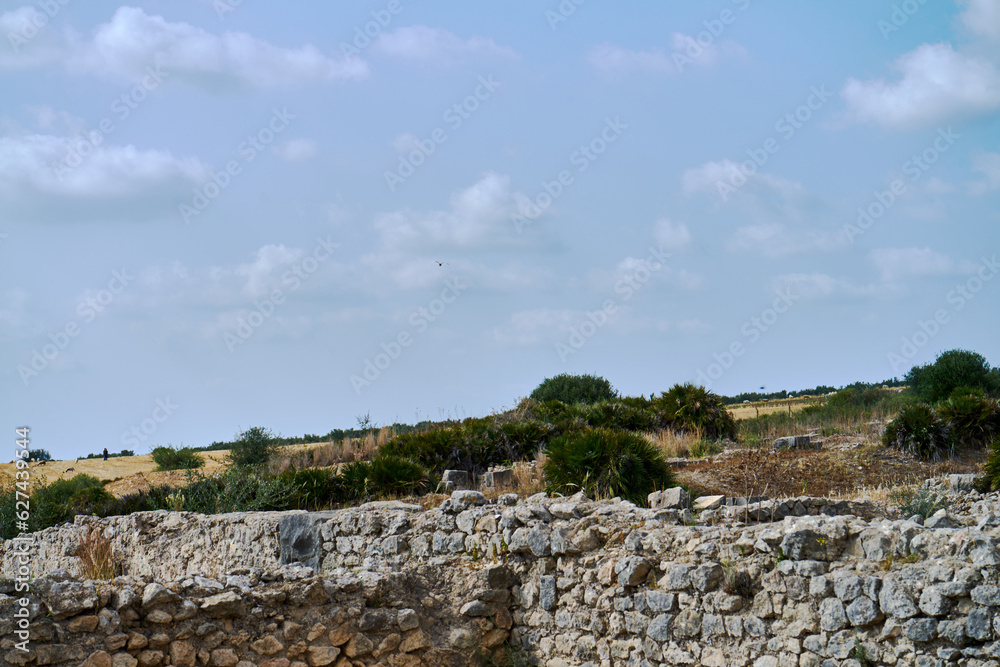ruins of the ancient city Volubilis