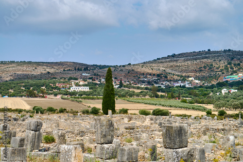 view of the ruins of ancient roman city in Volubilis