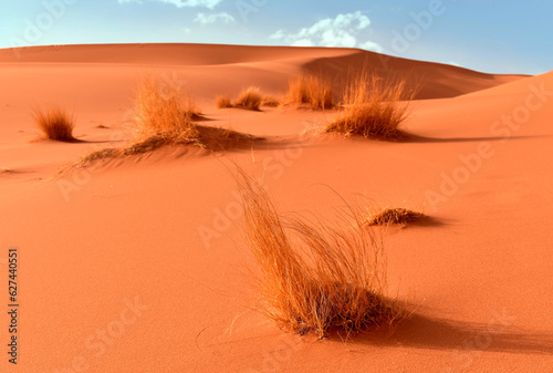 Sand dunes in the Sahara Desert  dry grasslands  Algerian part in the Tadrart and Tassili n Ajjer mountains