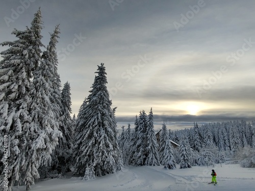 Man or a tourist walking or hiking in the forest in the nature.