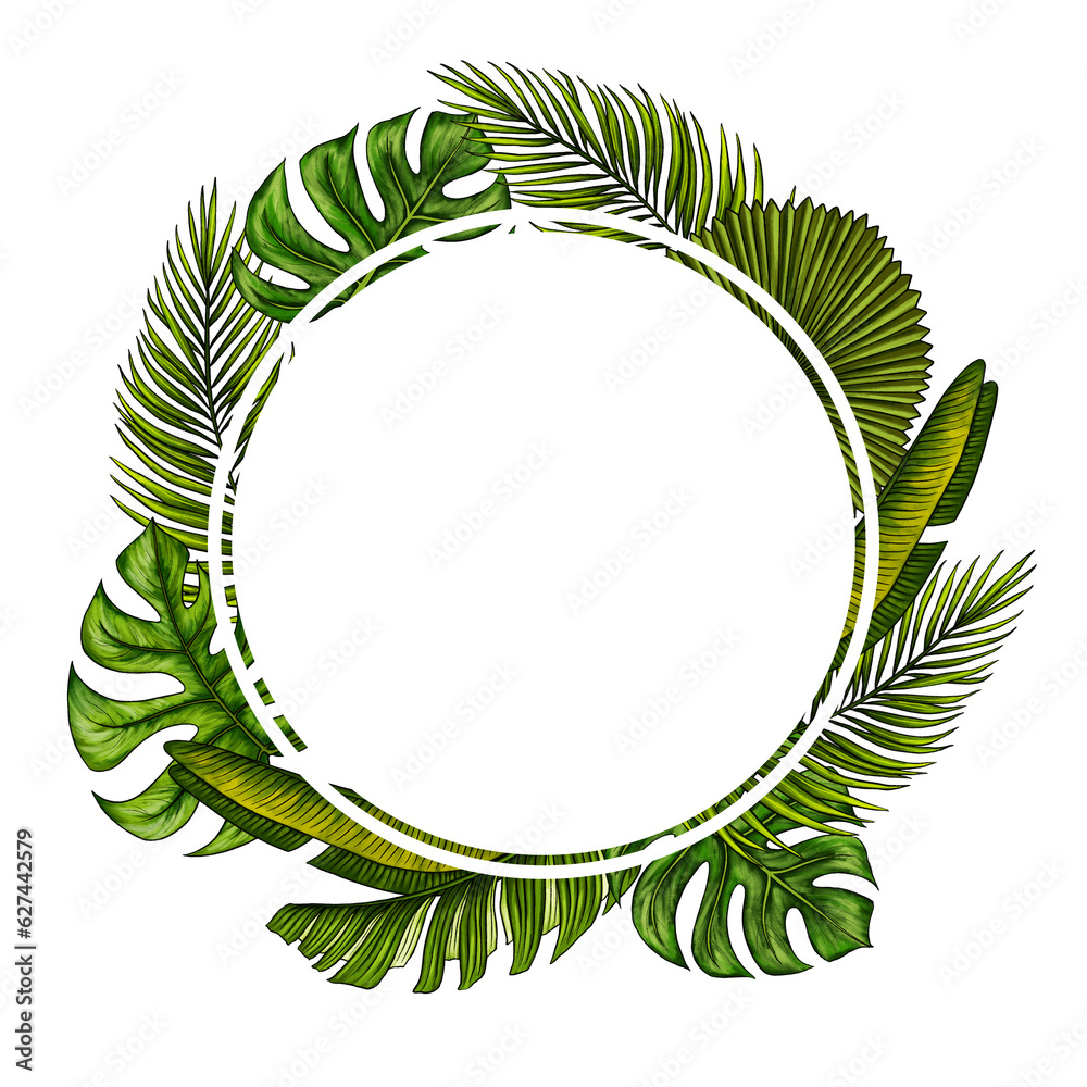 Round template for text with tropical palm leaves. Tropic leaf wreath. Circle frame with jungle rainforest exotic plants. Isolated on white realistic hand drawn illustration for label design. Round template for text with tropical palm leaves. Tropic leaf wreath. Circle frame with jungle rainforest exotic plants. Isolated on white realistic hand drawn illustration for label design.