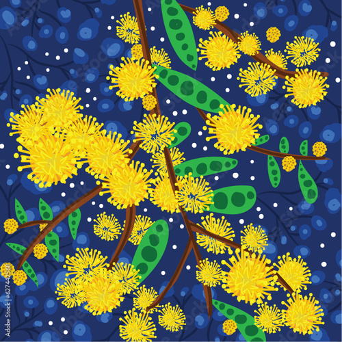 Australian Yellow Wattle Flower Artwork Illustration