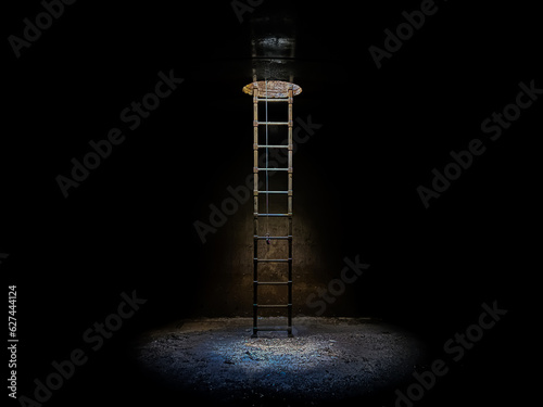 Light at the end of the tunnel to ladder