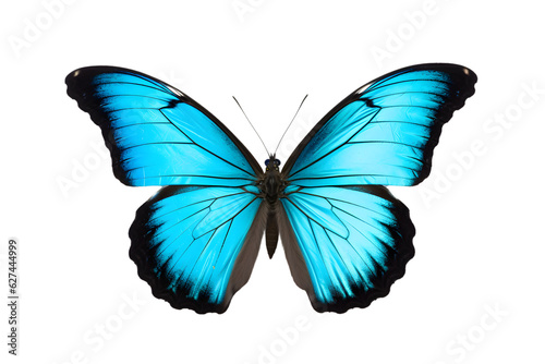 Beautiful color butterfly isolated on a transparent background © Breyenaiimages