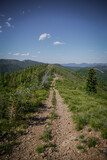 Rocky ATV trail on ridge line of pine tree forested mountainside In northern Idaho in summer