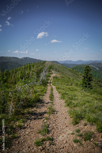 Rocky ATV trail on ridge line of pine tree forested mountainside In northern Idaho in summer