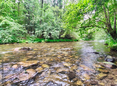 Pigüeña river near Silviella village, Belmonte de MIranda, Asturias, Spain photo