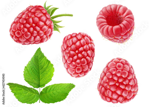 Collection of isolated raspberry fruits, isolated on white background