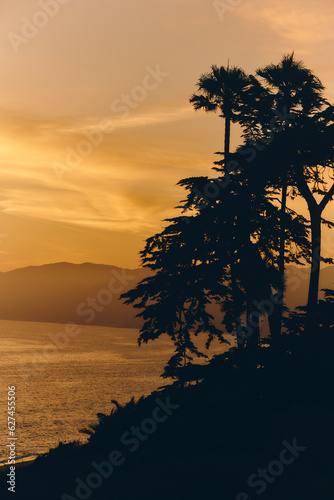 Malibu sunset. Palm on the hills. 