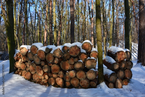 Holzstapel im Winterwald