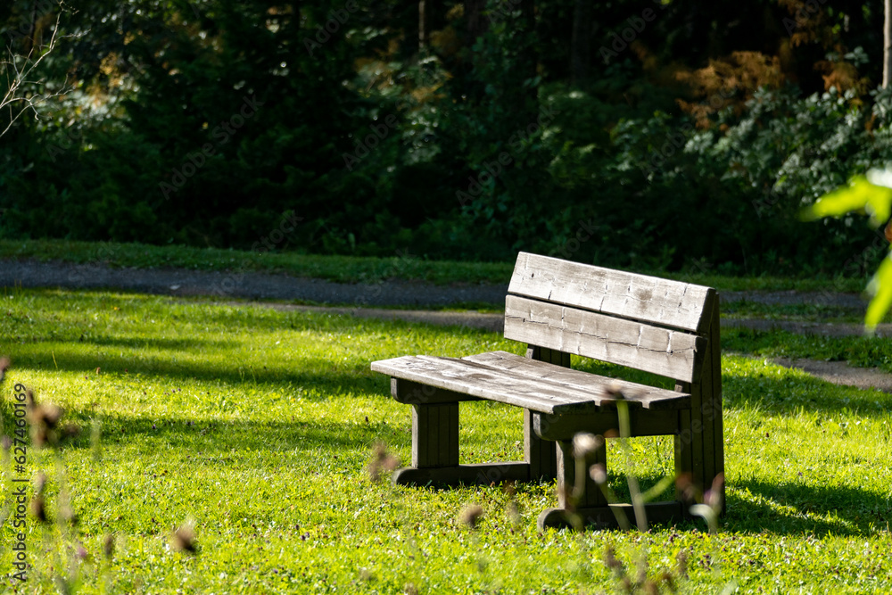 bench in the park bench in the park