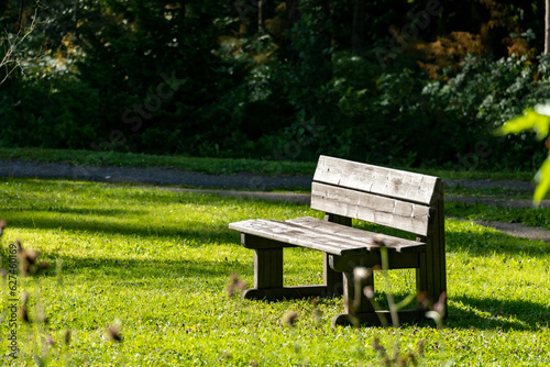 bench in the park