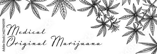 Cannabis horizontal design for packaging, social media posts, store decoration, branding, certificates. Marijuana vector illustration in sketch style. Hemp engraved background